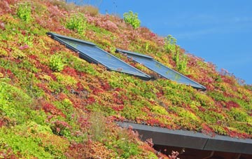 Marsden living roof systems