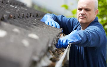 cleaning and inspecting Marsden roofs